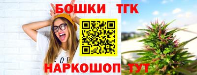 индика Волжский