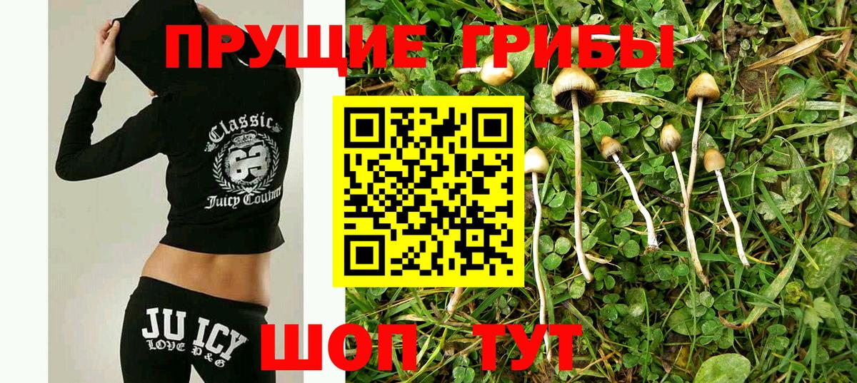 Галлюциногенные грибы ЛСД  Псилоцибиновые грибы Psilocybine cubensis  Ступино  Вход с VPN 
